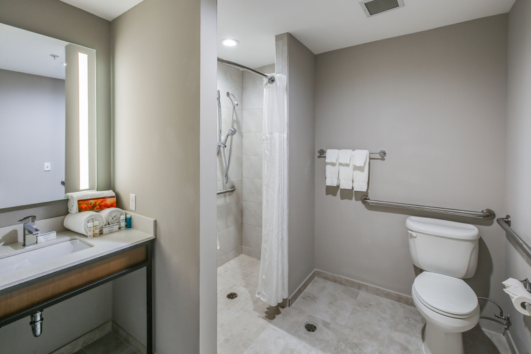 Bathroom 4, Hilton Garden Inn Ames, Story