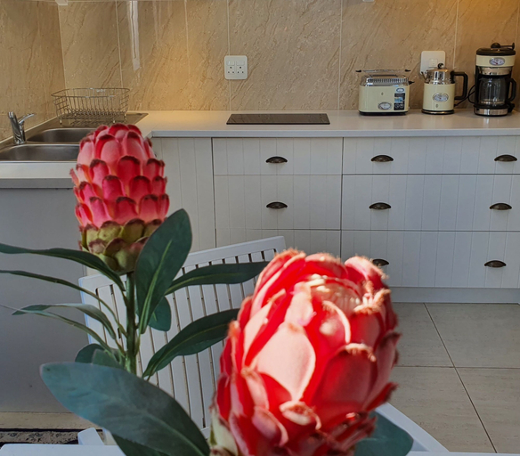 Others 5, Paternoster Accommodation, West Coast