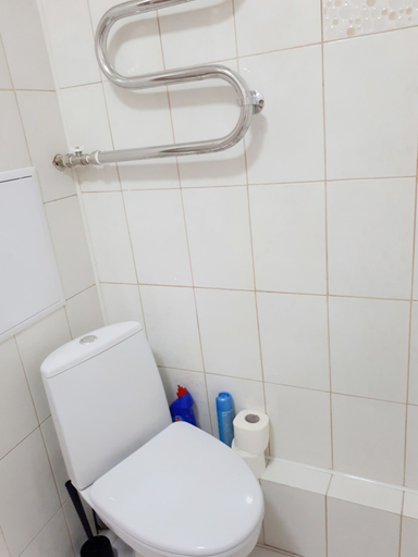 Bathroom 2, Apartments on Prospekt Dzerzhinskogo 240, Gelendzhik gorsovet