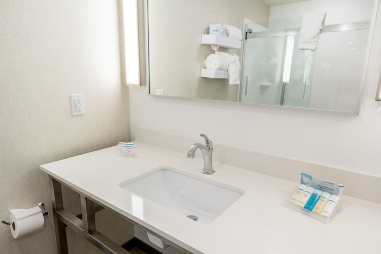 Bathroom 4, Hilton Garden Inn Salina, Saline