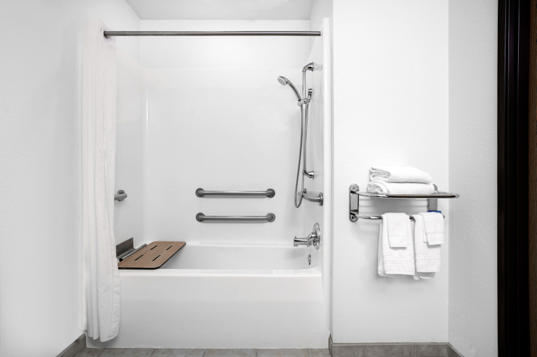 Bathroom 4, Microtel Inn & Suites by Wyndham Mankato, Blue Earth