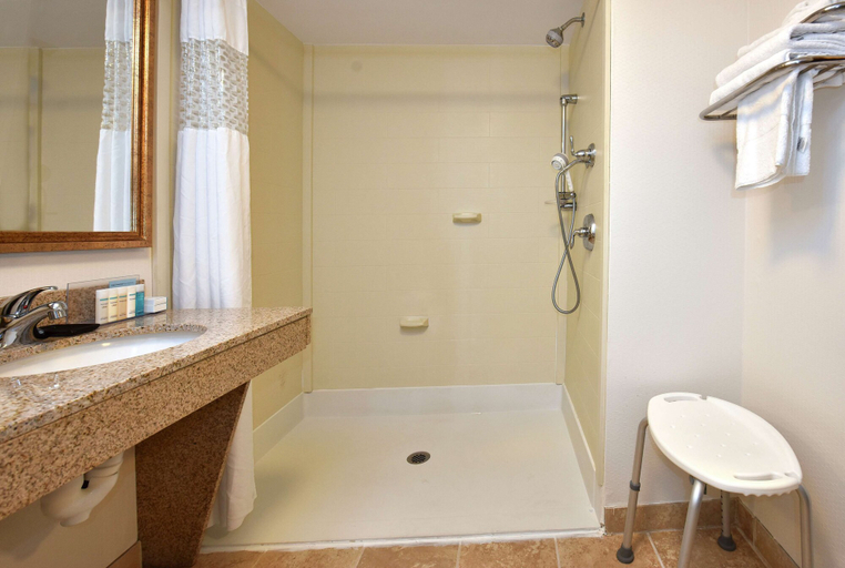 Bathroom 5, Hampton Inn Alexander City, Tallapoosa
