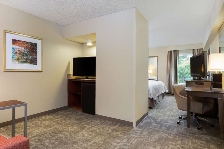 Bedroom 3, Hampton Inn Houston-Near The Galleria, Houston