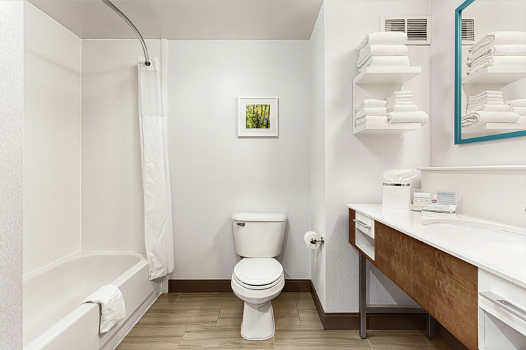 Bathroom 4, Hampton Inn Morganton, Burke
