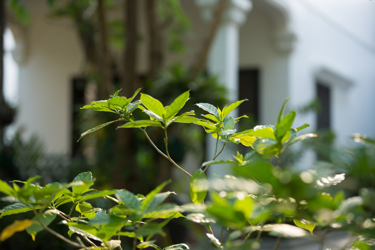 Exterior & Views 2, Sonalong Boutique Village & Resort, Siem Reap