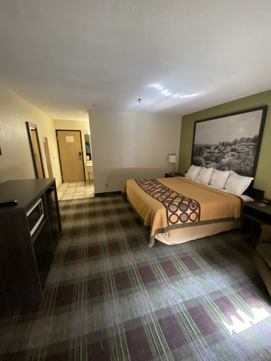 Bedroom 3, Super 8 by Wyndham Metropolis, Massac