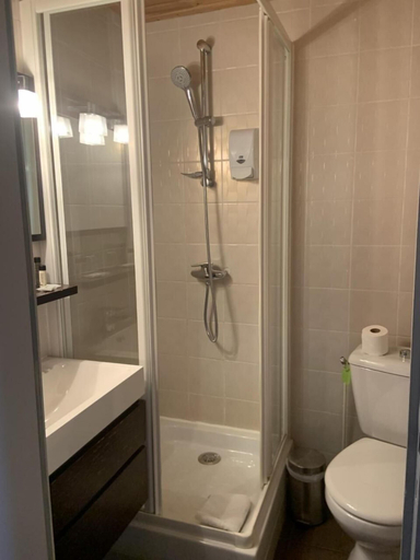 Bathroom 4, Alp'Azur Hotel, Isère