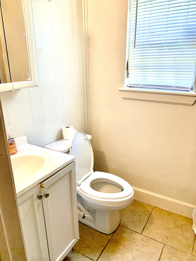 Bathroom 2, The Ugly House, Houston