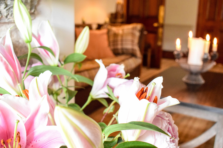 Food & Drinks 5, Craigmhor Lodge & Courtyard, Perthshire and Kinross