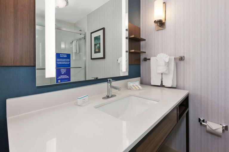 Bathroom 4, Hilton Garden Inn Minneapolis - Maple Grove, Hennepin