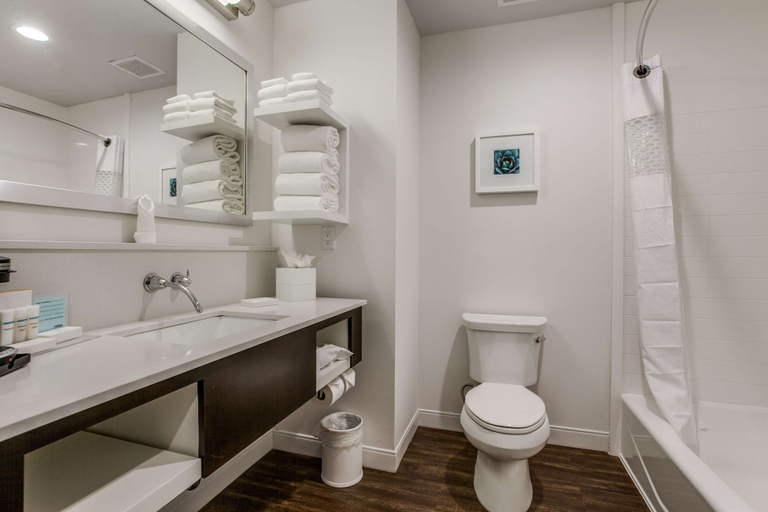 Bathroom 4, Hampton Inn & Suites North Dallas Central Expy, Dallas