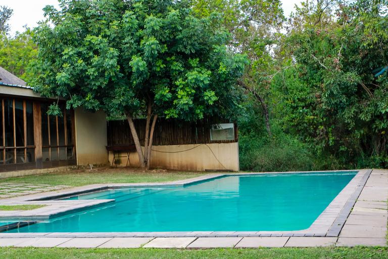 Sport & Beauty 3, Bushbaby Lodge at Nkonyeni, Nhlambeni
