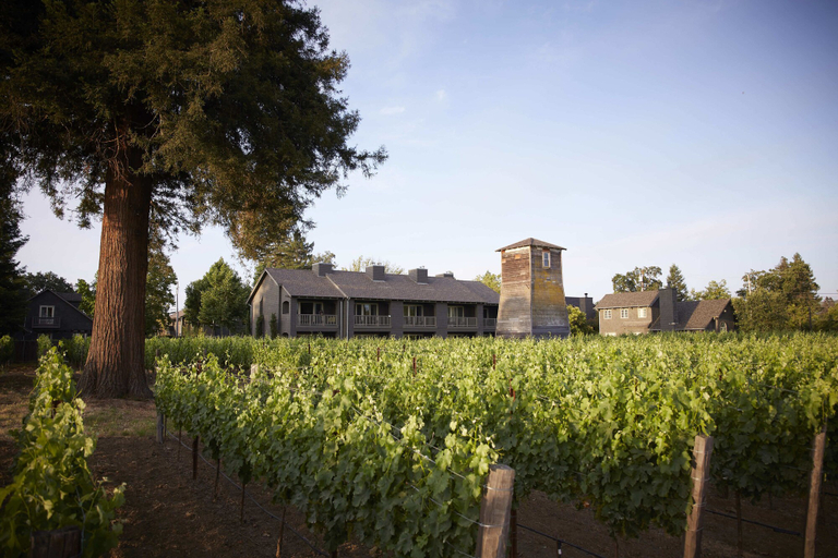 Exterior & Views 2, SENZA Hotel, Napa