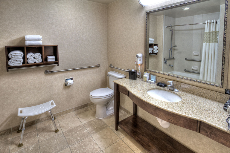 Bathroom 5, Hampton Inn Twin Falls Id, Twin Falls