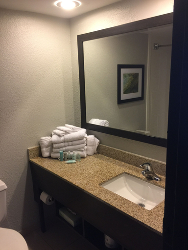 Bathroom 4, Wyndham Garden Jacksonville, Duval