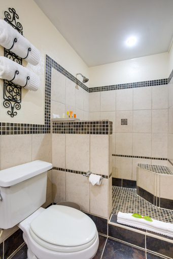 Bathroom 5, San Ignacio Resort Hotel