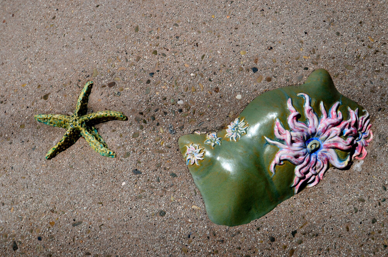 Others 5, Ocean Pacific Lodge, Santa Cruz