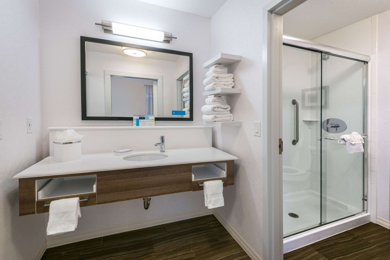 Bathroom 4, Hampton Inn & Suites San Antonio Brooks City Base, Bexar