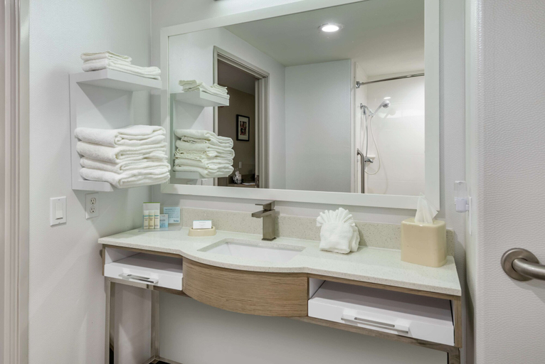 Bathroom 4, Hampton Inn Brownwood, Brown