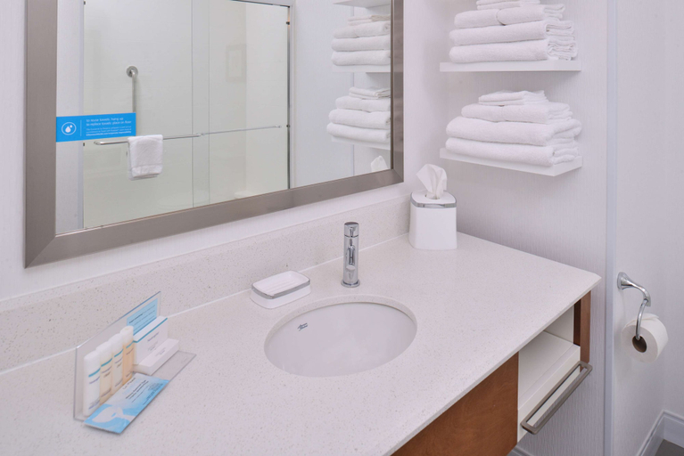 Bathroom 4, Hampton Inn & Suites Ames, Story