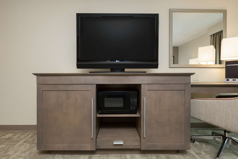 Others 5, Hampton Inn Houston-Near The Galleria, Houston