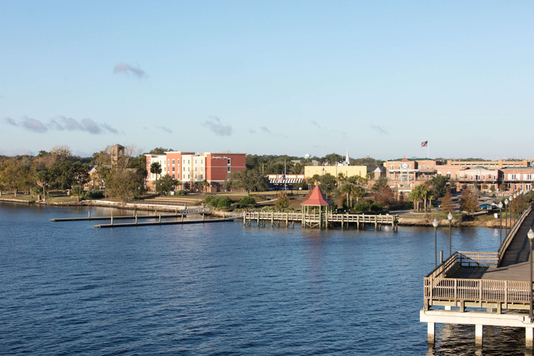 Exterior & Views 2, Hampton Inn Palatka, Putnam