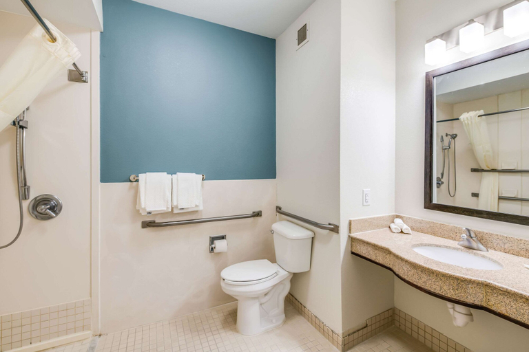 Bathroom 4, Sleep Inn Clovis, Curry