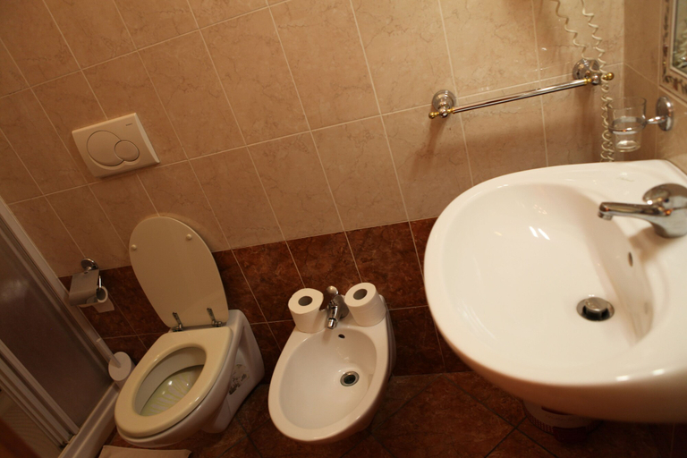 Bathroom 5, Elegance, Rome