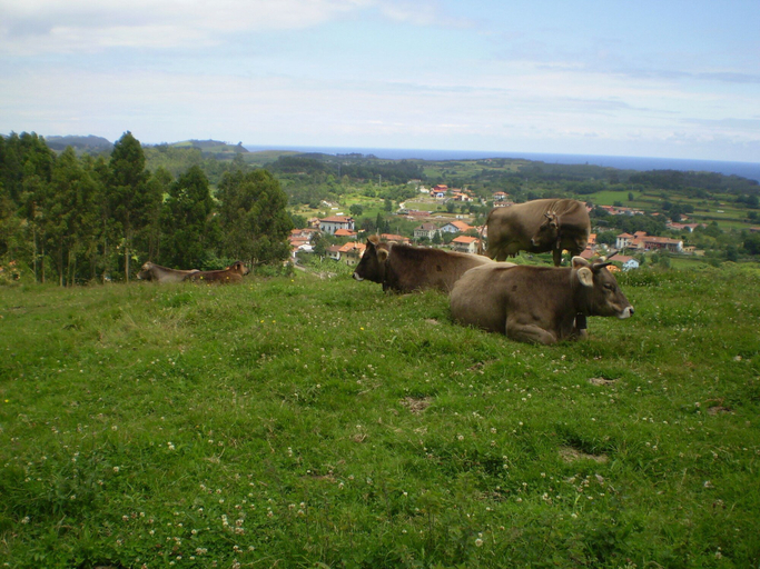 Others 5, Casa de Aldea Ruiloba, Asturias