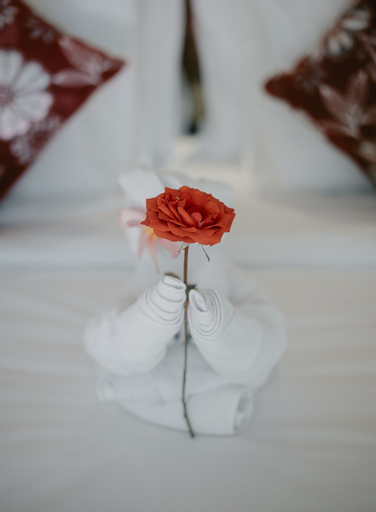 Food & Drinks 24