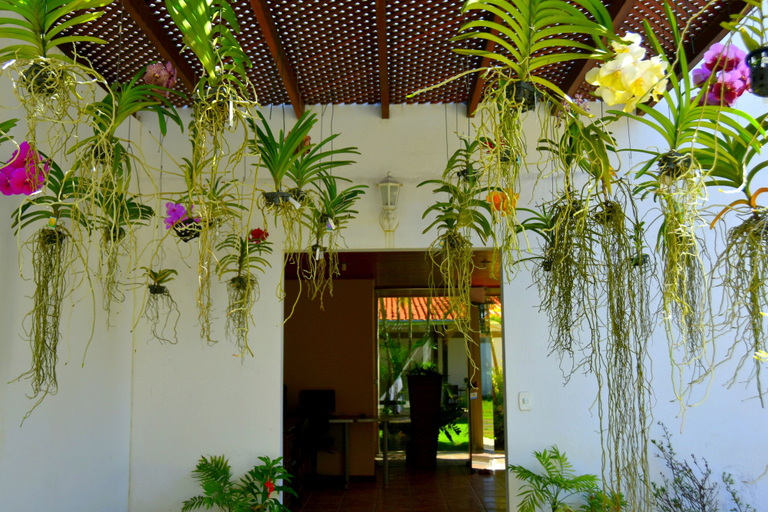 Exterior & Views 2, Pousada Lua e Mar, Ilhéus