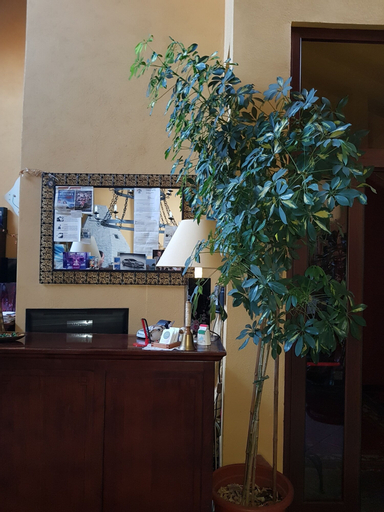 Public Area 3, Hotel Damian, Torino