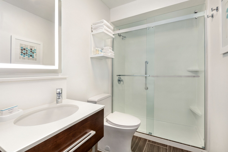 Bathroom 4, Hampton Inn Clackamas, Clackamas