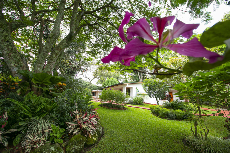 Exterior & Views 2, Hotel La Rosa de America, Alajuela