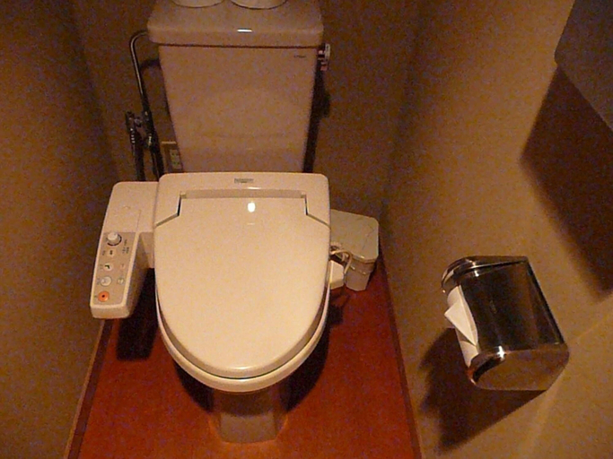 Bathroom 5, Bouzantei Kotobuki, Ueda