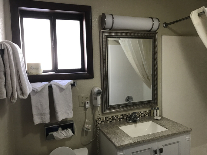 Bathroom 4, Motel In The Pines, Coconino