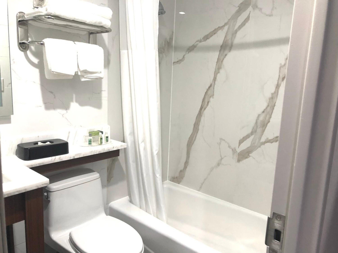 Bathroom 4, Hotel Nirvana, New York