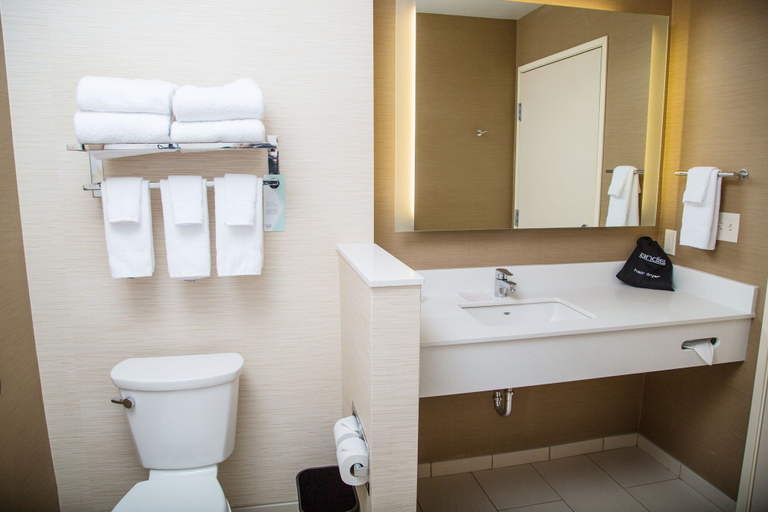 Bathroom 4, Fairfield Inn and Suites by Marriott Pocatello, Bannock