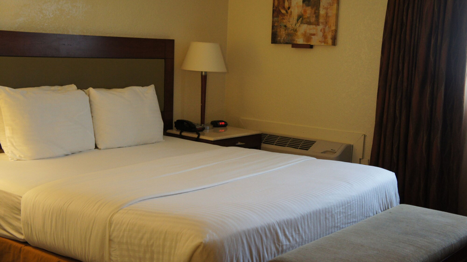 Bedroom 5, Lexington Inn & Suites NW Chicago Elgin, Cook
