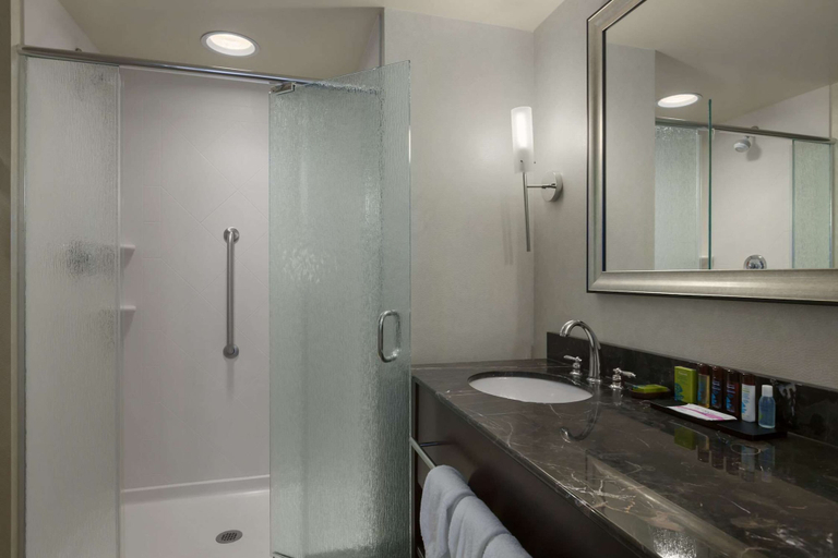 Bathroom 4, Embassy Suites by Hilton Savannah Airport, Chatham