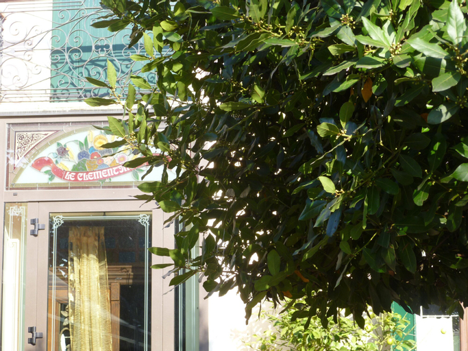 Agriturismo Le Clementine, Rovigo
