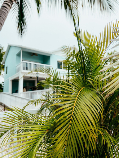 Exterior & Views 2, Bayside Inn Key Largo, Monroe