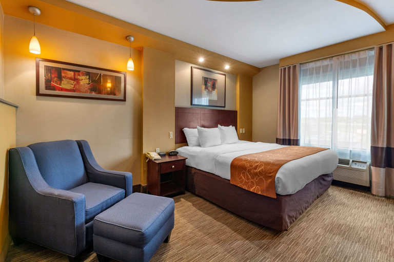 Bedroom 4, Comfort Suites Perrysburg - Toledo South, Wood