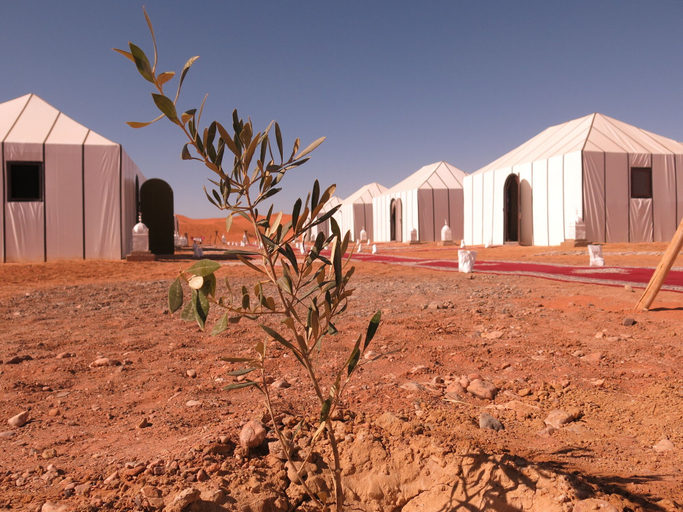 Exterior & Views 2, Mirage Luxury Camp, Errachidia