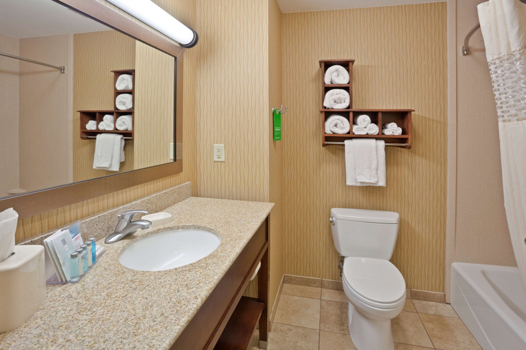 Bathroom 4, Hampton Inn Matamoras/Milford, Pike