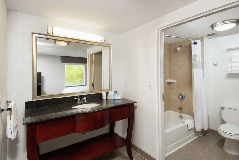 Bathroom 4, Hampton Inn & Suites Barrie, Simcoe