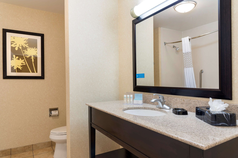 Bathroom 4, Hampton Inn Detroit/Roseville, Macomb