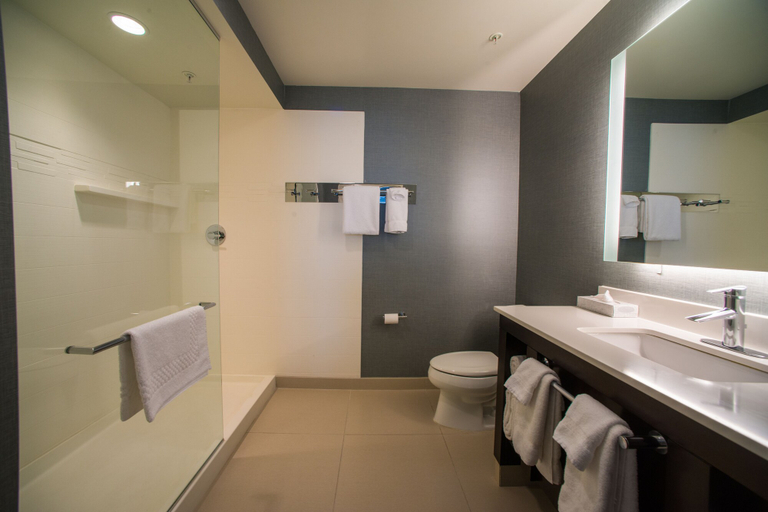 Bathroom 4, Residence Inn Rapid City, Pennington