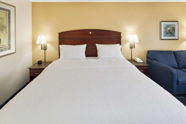 Bedroom 3, Hampton Inn Hinesville, Liberty