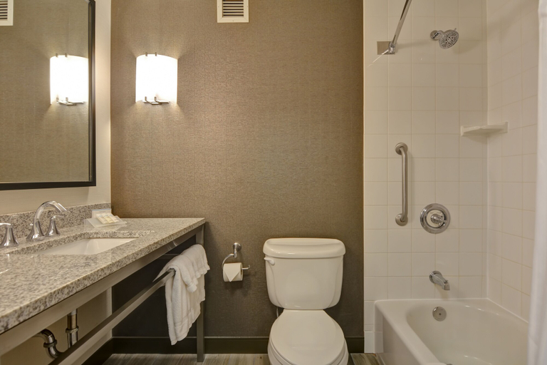 Bathroom 4, Hilton Garden Inn Green Bay, Brown